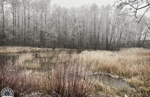 Mlyn Wodny EKO Hillar - Foto 55