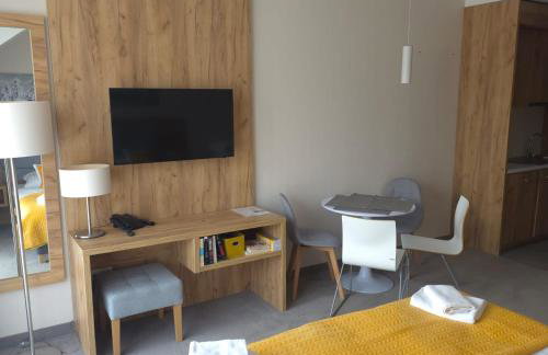 Czarna Góra Apartament 319 - Foto 11