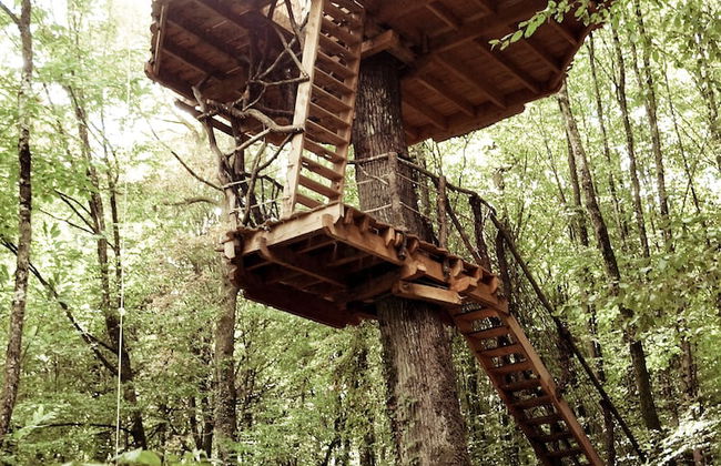 L'Arbre à Cabane - Foto 5