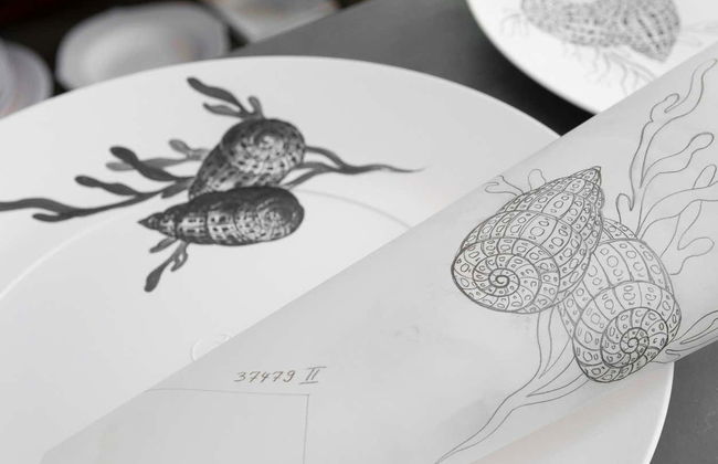 Entrada al Museo de la Porcelana de Meissen y sus talleres - Foto 7