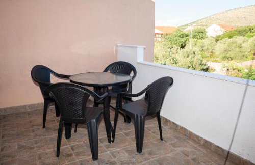 Dalmatian - Photo 29