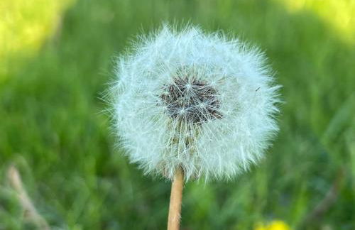 Waldläufer Brilon - Foto 38