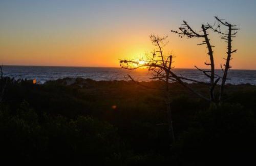 Casa da Amorosa - Foto 64