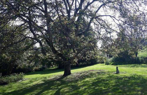 1 Bed in Cheltenham oc-52145 - Foto 21