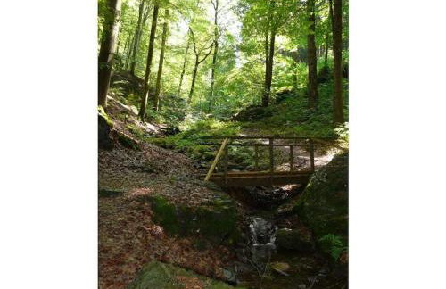 Holiday home in Gießübel with Wi-Fi - Foto 19