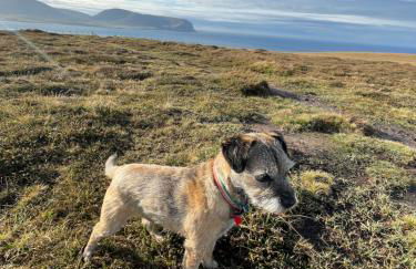 Switha - Luxury home in Stromness, Orkney with outstanding views and hot tub - Photo 39