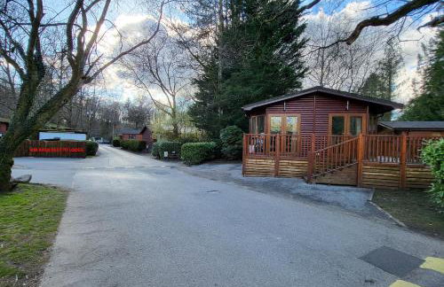 Cheerful 3 bedroom Lodge At White cross Bay Windermere - Photo 7