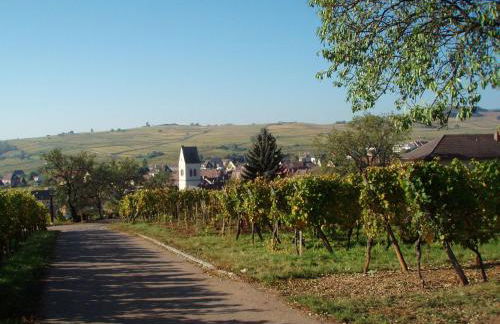 gîtes au domaine Greiner - Foto 28