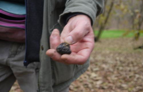 Cascina Arcangelo Raffaele - Foto 76