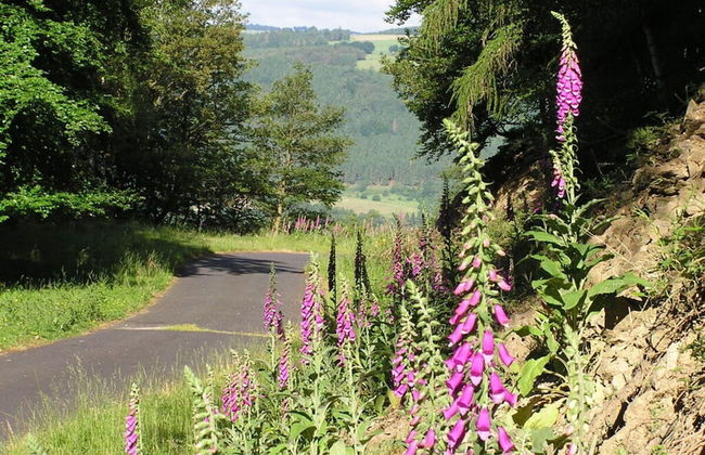 Mechthild and Hans-jurgen Geschwind - Foto 25