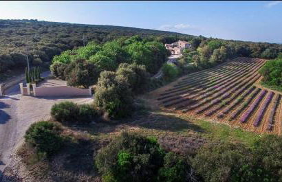 Mas Saint Antoine - Foto 13