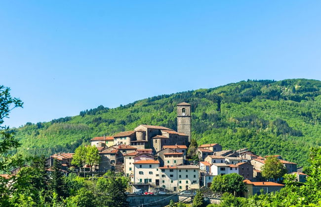 Holiday Home in Pistoia With Pool - Photo 70