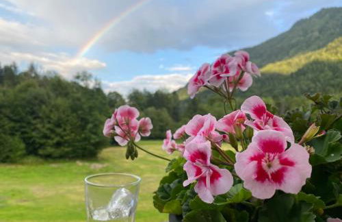 Hansenbauernhof inkl. Chiemgaukarte - Foto 18