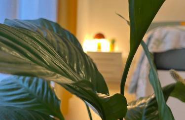 Fantasticasa - Foto 10