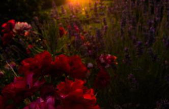 Agriturismo Podere Luisa - Foto 1