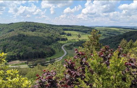 Ferienhaus Pauline am Glan - Foto 40