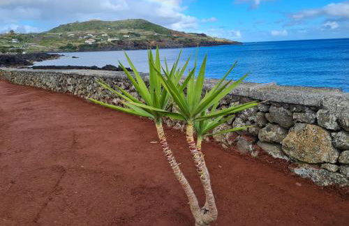 Azores 5 estrelas - Photo 37