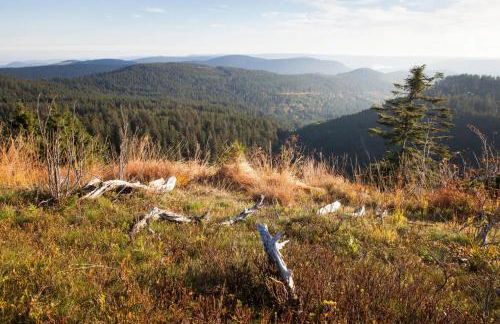 Ferienhaus The Himmelsteig - Foto 44