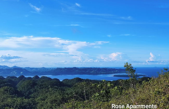 Rose Apartments - Foto 33