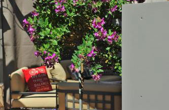 Bella Vacanza Limone - Foto 4