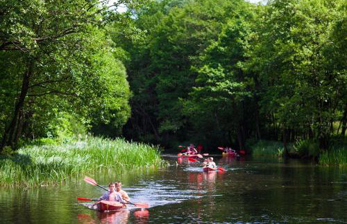 Stodoła i Stolarnia - Foto 25
