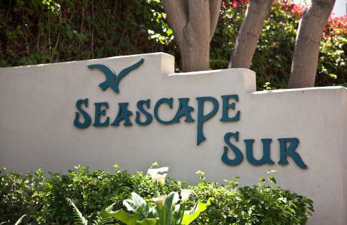 Above the Waves - SUR116 - Foto 25