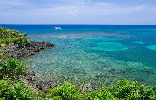 Coral Vista #3 - Foto 26