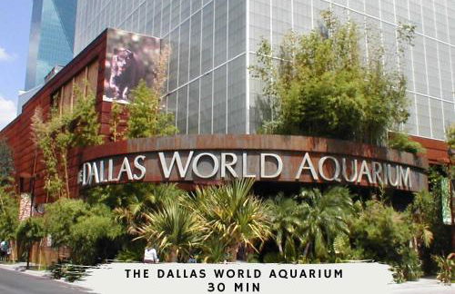 5BD Vacation Retreat - Pool Patio Cinema - Foto 44