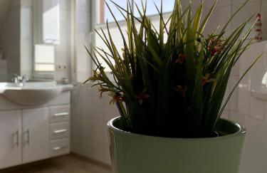 Harms, Ferienwohnung - Foto 35