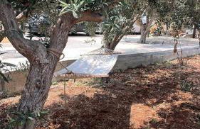 Nonna Franca GuestHouse - Foto 32