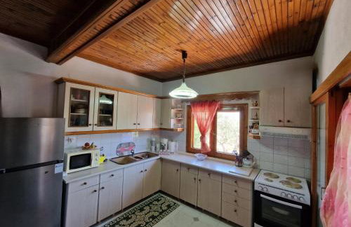 Dream in Chalkidiki 2 bedroom villa with garden - Foto 22
