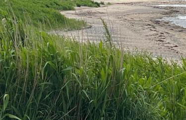 FeWo "Freiheit" - Panoramablick - großer Balkon, ganzjährig zu nutzen - schnelles WLAN - Parkplatz - 300 Meter zum Strand - Foto 31