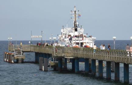 Gut-Rattelvitz-Galerie-F-hochwertig-Sauna-Kamin-eTankstelle-Spielscheune-15-000qm-Park-Land - Foto 59
