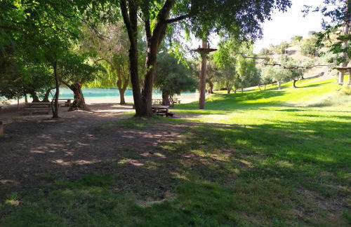 cortijo la laguna - Foto 73