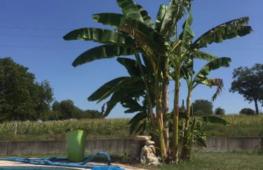 Petite Maison de campagne dépaysante - Foto 13