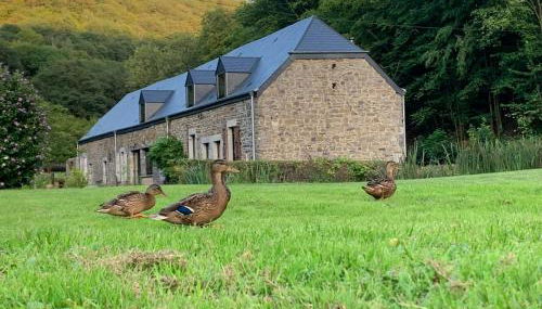 Le Ruisseau Gîte Idéal pour un Séjour à Deux au Fil de l'Eau - Foto 2