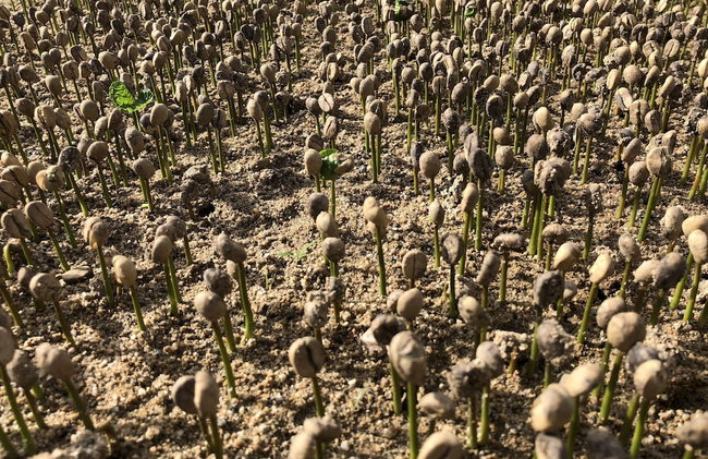 HACIENDA ILUMINADA ECO RETREAT - Foto 32