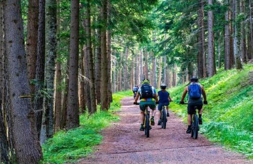 Comfortable Holiday Apartment With a Lake View - Foto 67