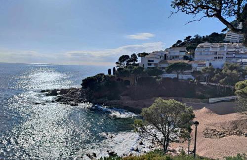 Espiga, Cala privada Tossa de Mar - Foto 45