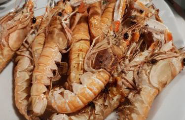 HOUSE SUITES DOMAINE - Foto 75