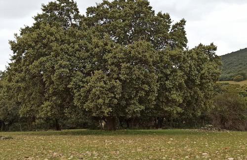 Casa Rural Valle de los Molinos - Foto 65