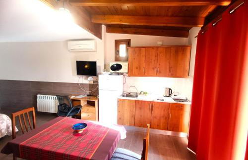 Flamencos del cerrado - Photo 50