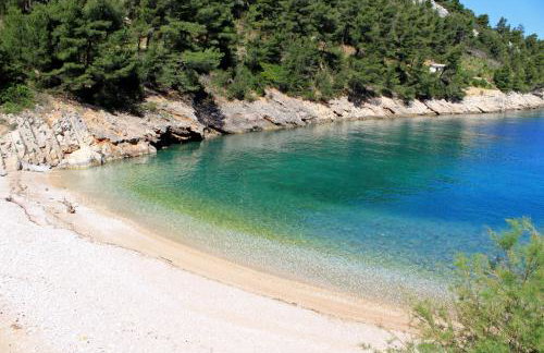 Apartments by the sea Cove Mala Pogorila, Hvar - 8953 - Foto 24