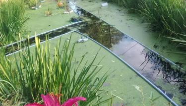 Altana całoroczna Piotr numer 6 - Herbergerówka Agroturystyka na wsi - Foto 5