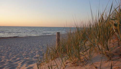 Amare Dierhagen - Foto 3