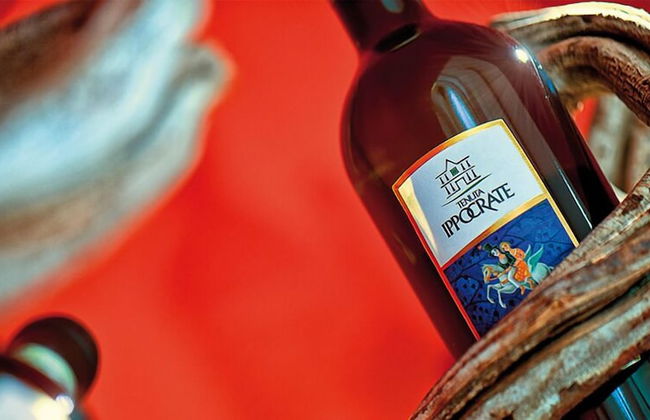 Tenuta Ippocrate - Foto 44