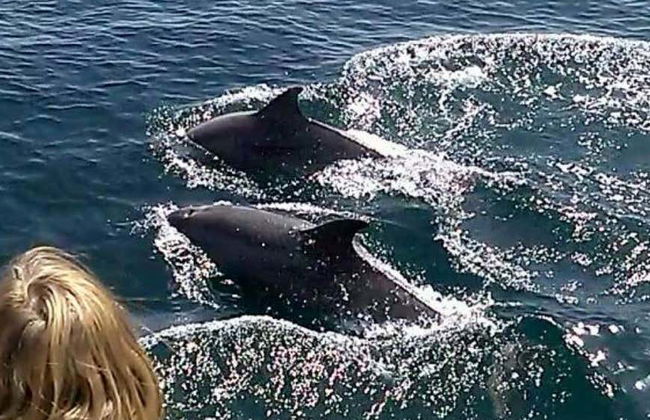 Paseo en barco por la ría + Degustación de mejillones - Foto 6