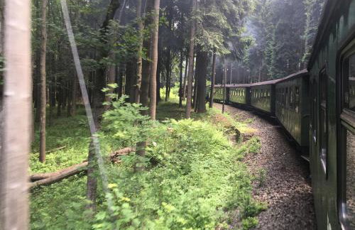 Ferienwohnungen Familie Junge - Foto 12