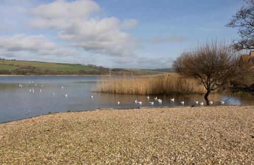 38 Venn Park - Foto 25