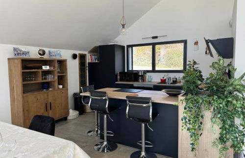 maison lac et montagne - Photo 41